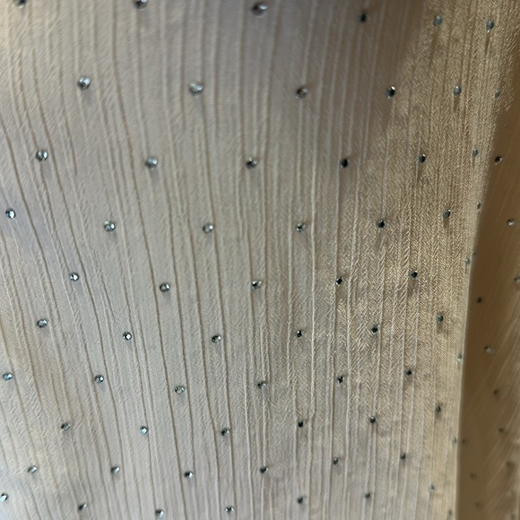 Zara Rhinestone Cream Sheer Blouse - Picture 6 of 6